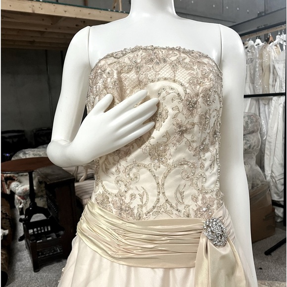 Champagne Wedding Dress - Picture 7 of 10
